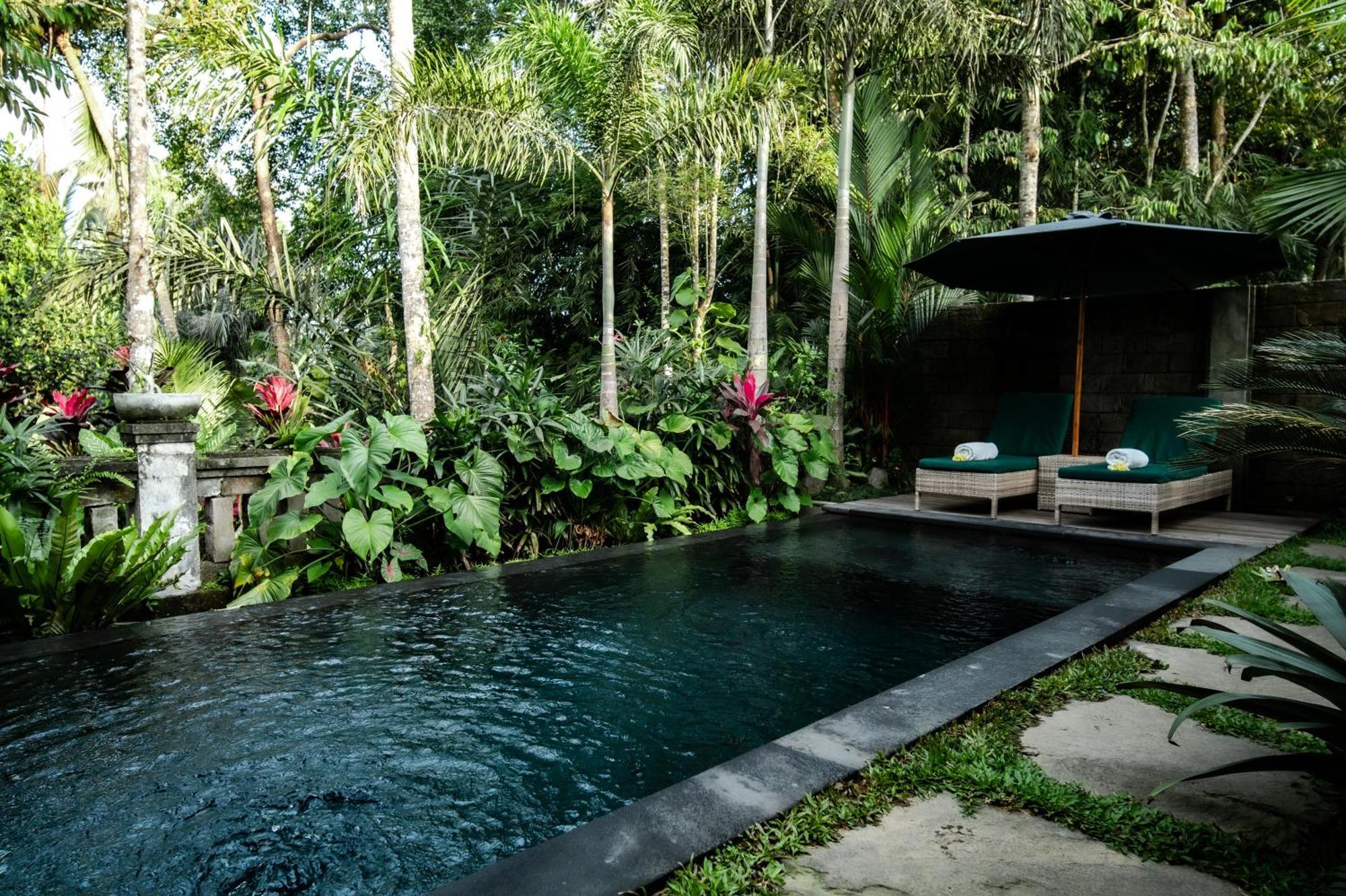 Hotel Imagine Bali Ubud Zimmer foto