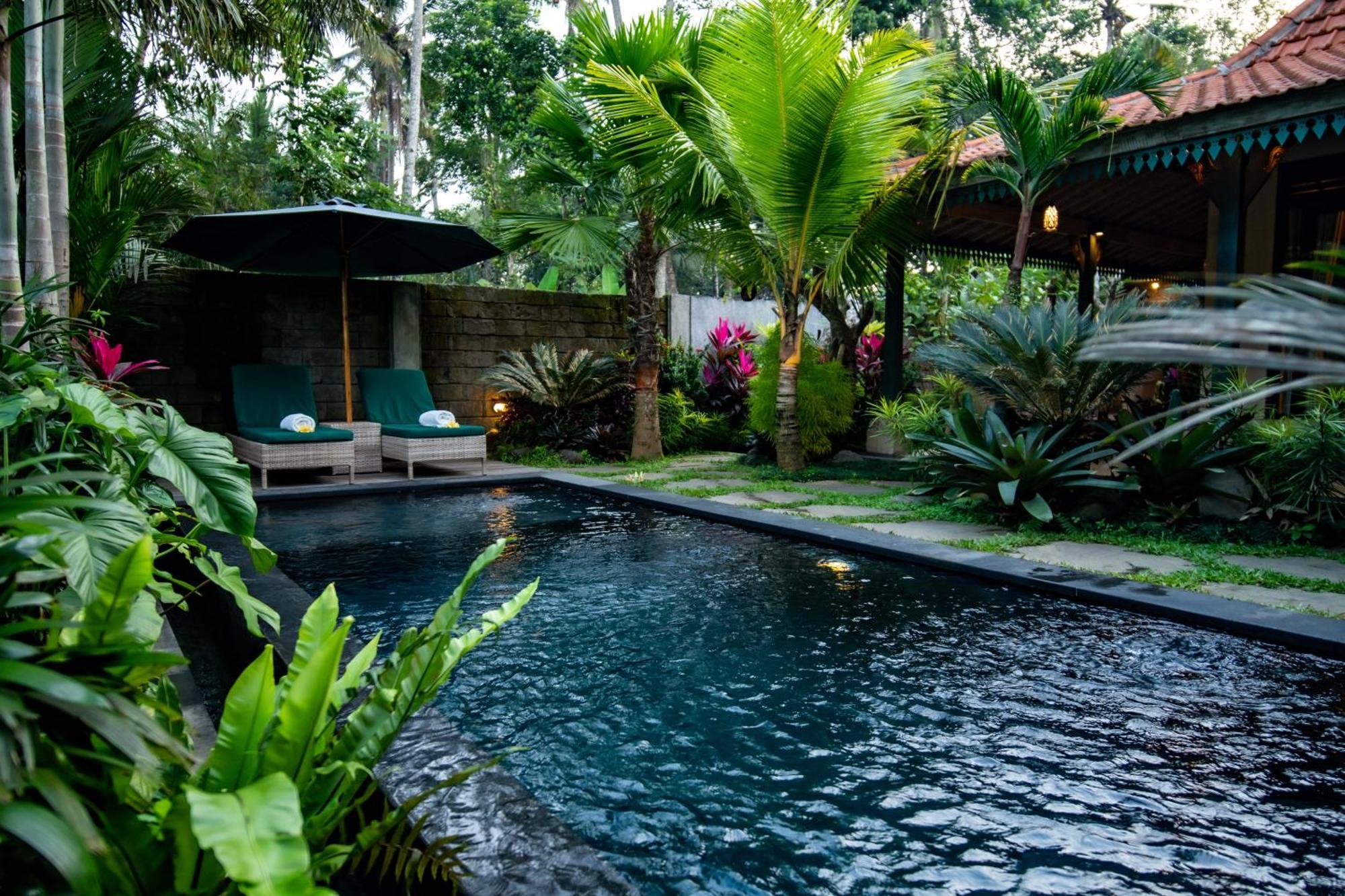 Hotel Imagine Bali Ubud Zimmer foto